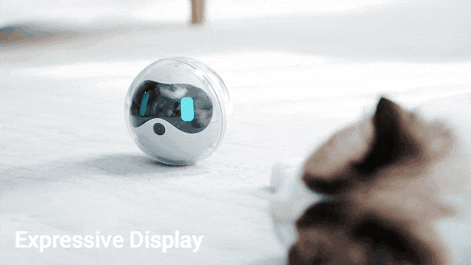 Rollbot (4).gif
