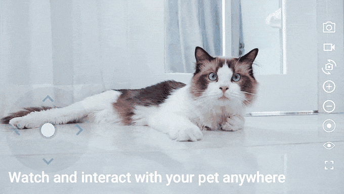 Rollbot (3).gif