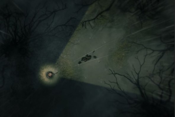 Darkwood (4).jpg