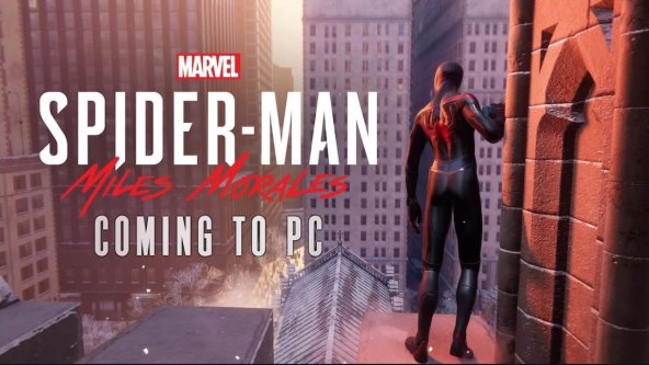 Spider-Man Miles Morales (4).jpg