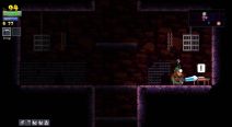 Rogue Legacy (5).jpg
