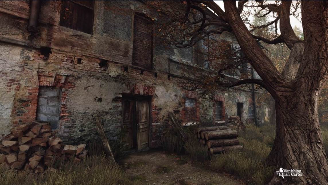 The Vanishing of Ethan Carter (2).jpg