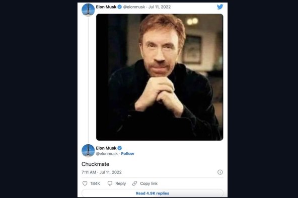 Twitter Elon Musk (2).jpg