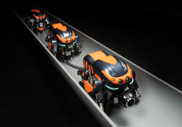 Robot pauk SPD1 (4).jpg