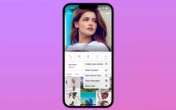 Telegram Novi izbornik za automatsko brisanje u profilima 3.jpg