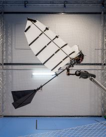 Ornitopter robot ptica (4).jpg