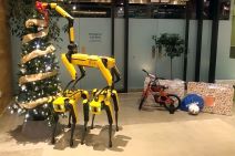 Robot pas Boston Dynamics (7).jpg