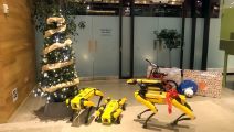 Robot pas Boston Dynamics (2).jpg