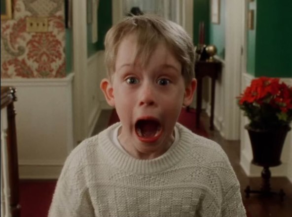 Home alone Sam u kuci (1).jpg