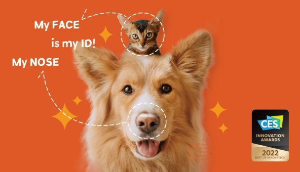 Petnow MWC.jpg
