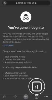 Chrome iOS 2.jpg