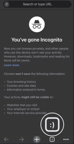 Chrome iOS 2.jpg
