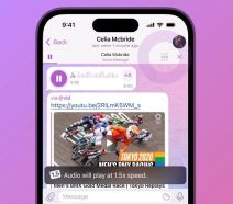 Granularna brzina reprodukcije (1).jpg