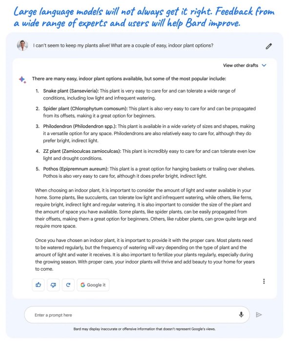 Google Bard (3).jpg
