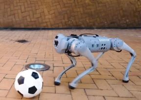 DribbleBot robot (3).jpg