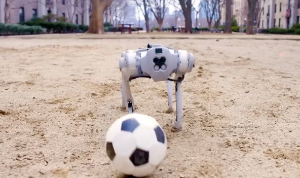 DribbleBot robot (6).jpg