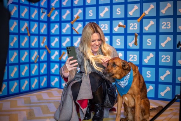 Samsung Galaxy S2 3Ultra pas (2).jpg