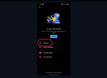 YouTube Vanced 3.jpg