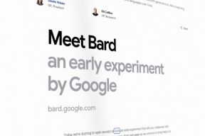 google bard.jpg