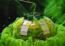 Jellyfish-Bot (4).jpg