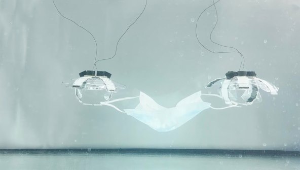 Jellyfish-Bot (1).jpg