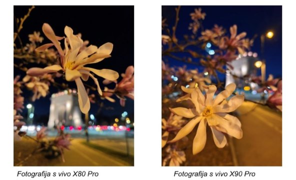 Usporedba kamera Vivo X80 Pro i vivo X90 Pro 4.jpg