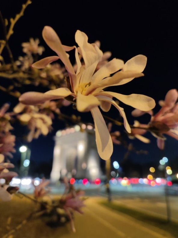 Vivo X80 Pro_.jpeg