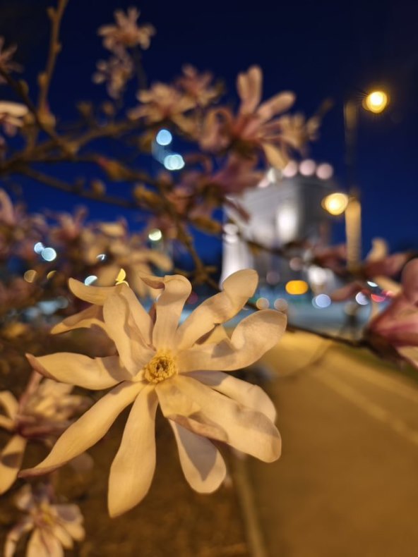 Vivo X90 Pro_.jpeg