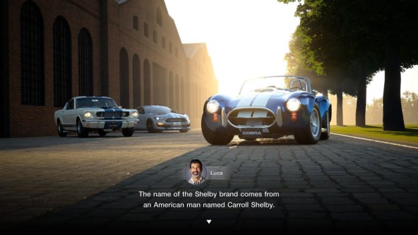 Shelby.jpg