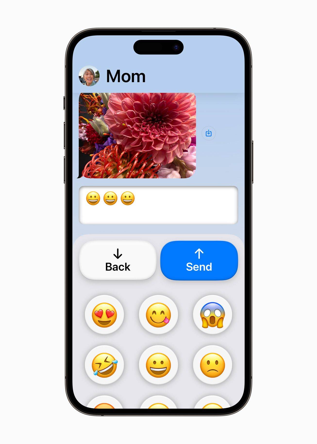 Apple-accessibility-Assistive-Access-Messages.jpg