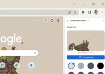 Prilagodite Chrome (1).jpg