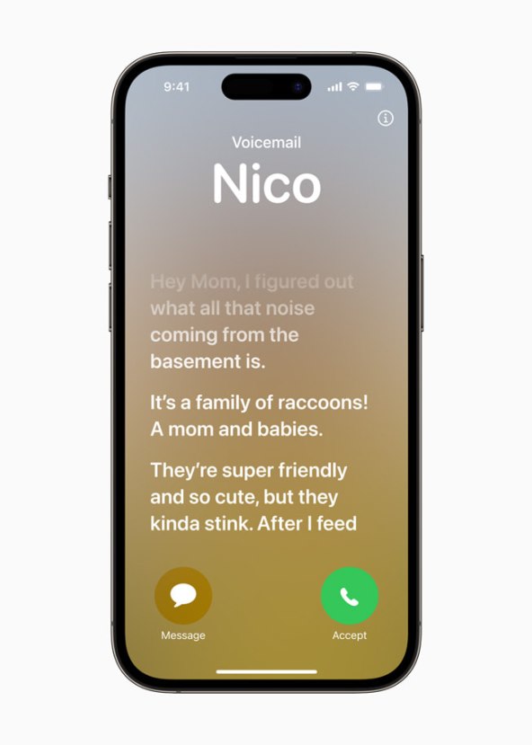 Apple iOS 17 (1).jpg