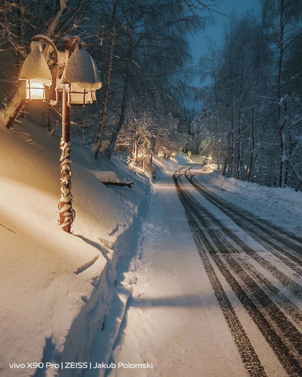 vivo X90 Pro_ZEISS_Jakub Polomski_1inch Main Sensor.jpg