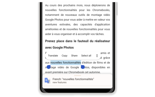 Translation_example.max-1000x1000.jpg