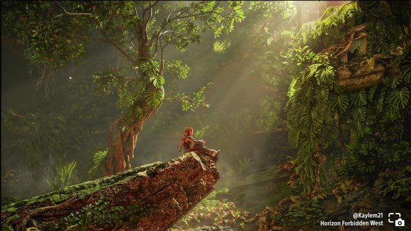 Horizon Forbidden West 7.jpg