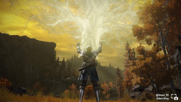 Erd Tree in Elden Ring 15.jpg
