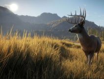 theHunter Call of the Wild  (5).jpg