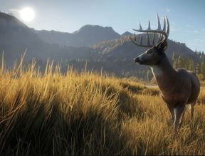 theHunter Call of the Wild (5).jpg