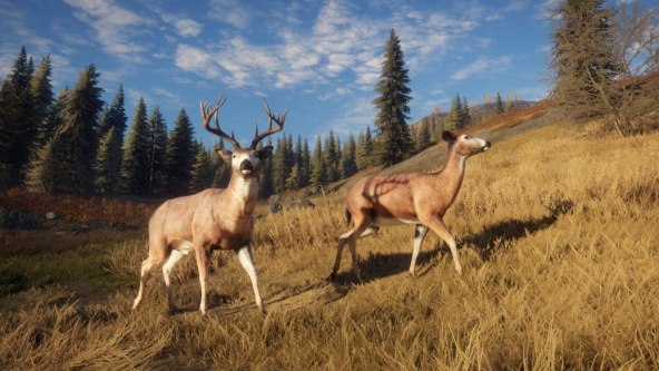 theHunter Call of the Wild (1).jpg