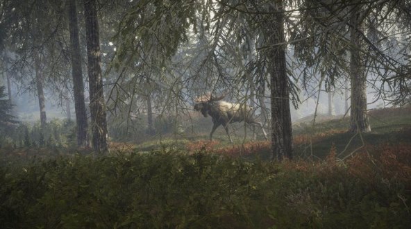 theHunter Call of the Wild  (7).jpg
