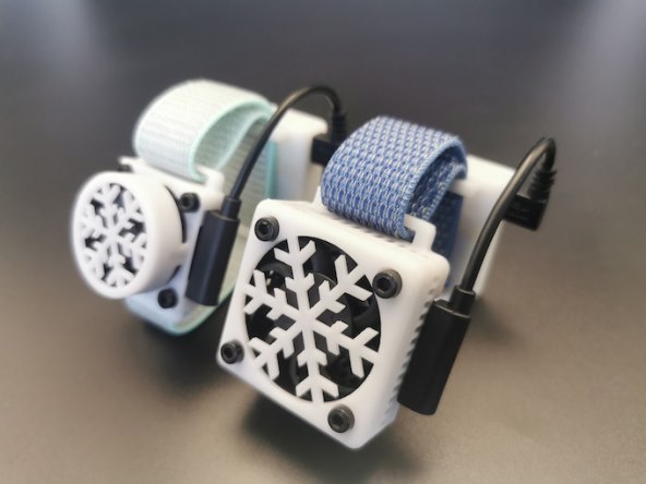 Silent Cicada (7).jpg