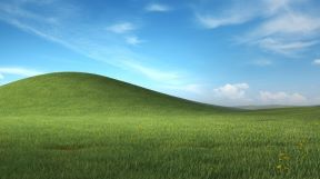 Microsoft (1).jpg