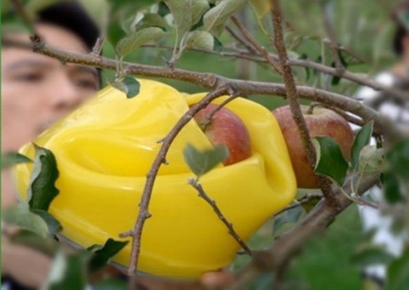 Robotska hvataljka inspirirana cvijećem (3).jpg