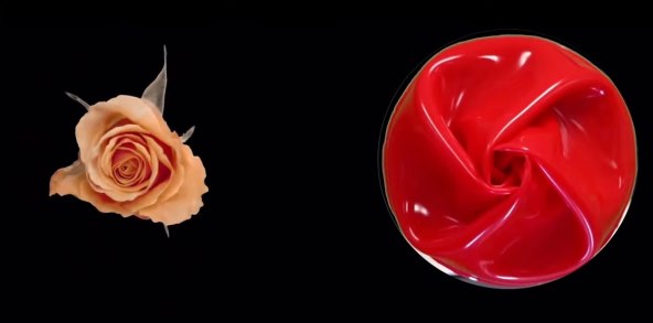 Robotska hvataljka inspirirana cvijećem (4).jpg