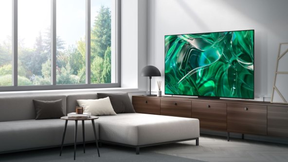 Samsung OLED_S95C_2.jpg