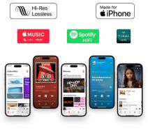 Questyle NHB12 (3).jpg