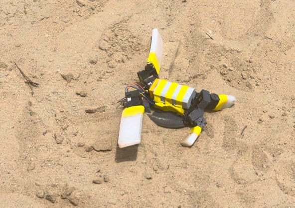 Robot kornjaca (2).jpg