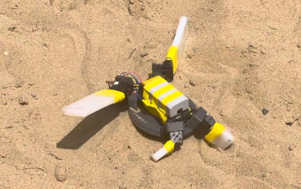 Robot kornjaca (1).jpg
