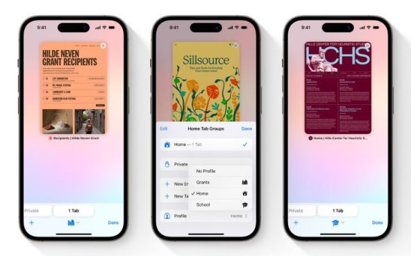 Apple iOS 17 Safari.jpg