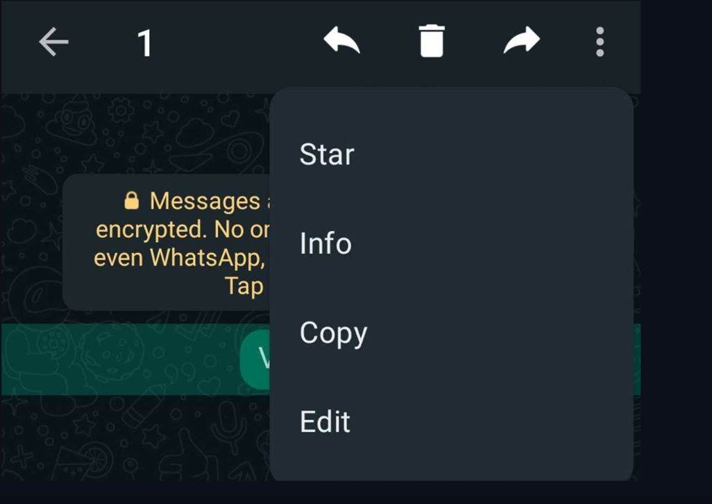 WhatsApp edit poruke 2.jpg